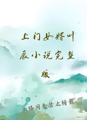 上门女婿叶辰小说完整版