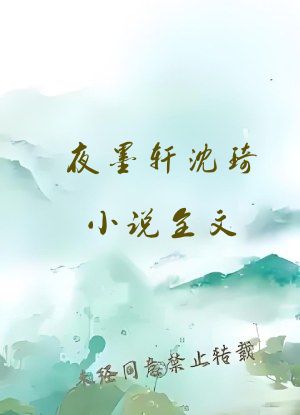 夜墨轩沈琦小说全文
