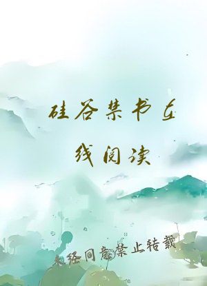 硅谷禁书在线阅读